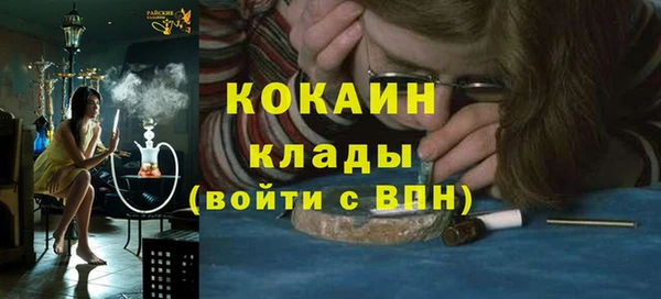 альфа пвп Новодвинск