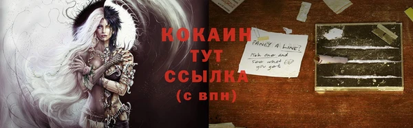 альфа пвп Новодвинск
