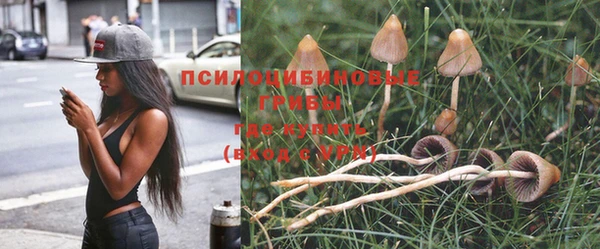мдпв Новозыбков