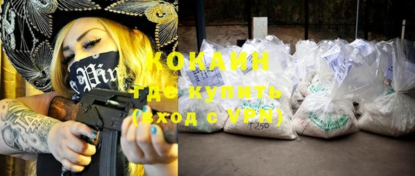 мдпв Новозыбков