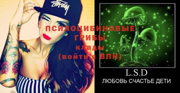 мдпв Новозыбков