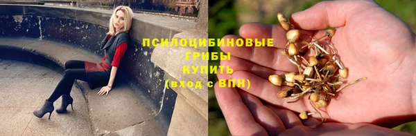 a pvp Няндома